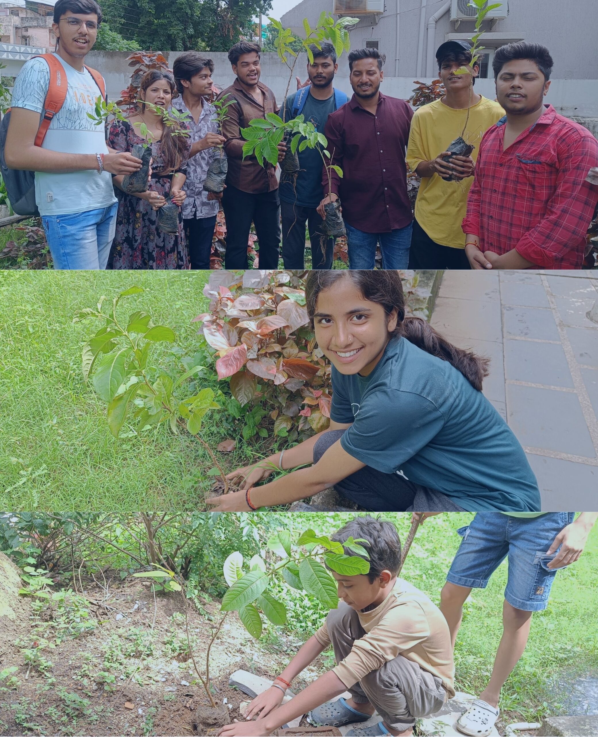 Plantation Drives